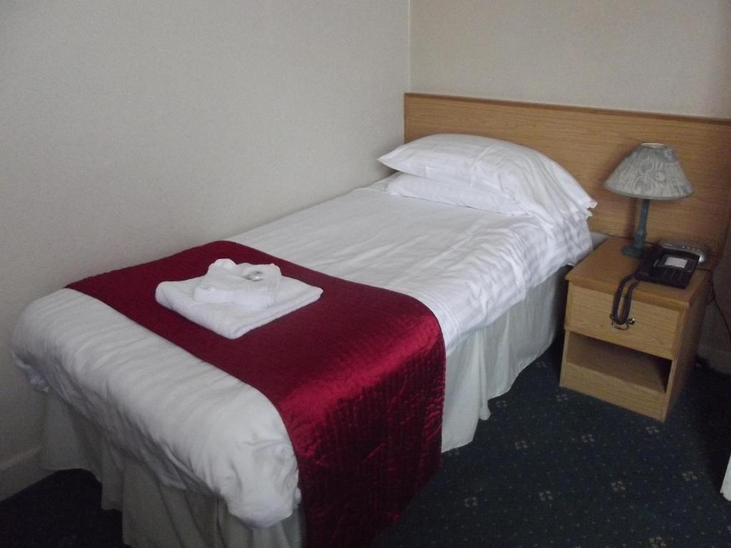 Plas Coch Hotel Ltd Bala Rum bild